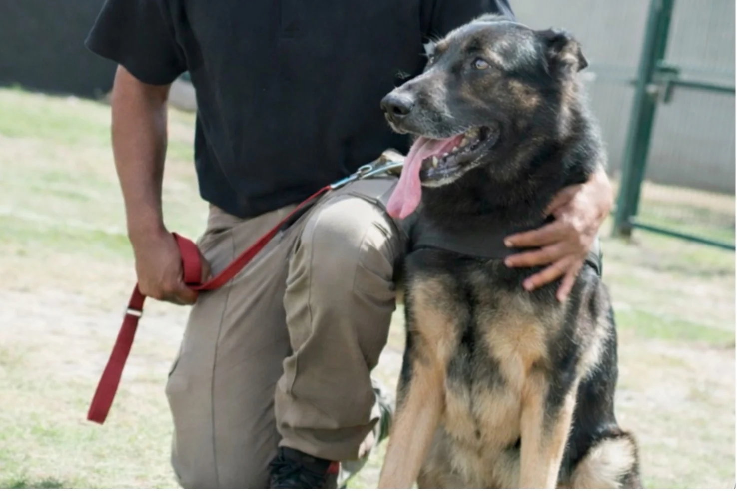 Specialist Security Training